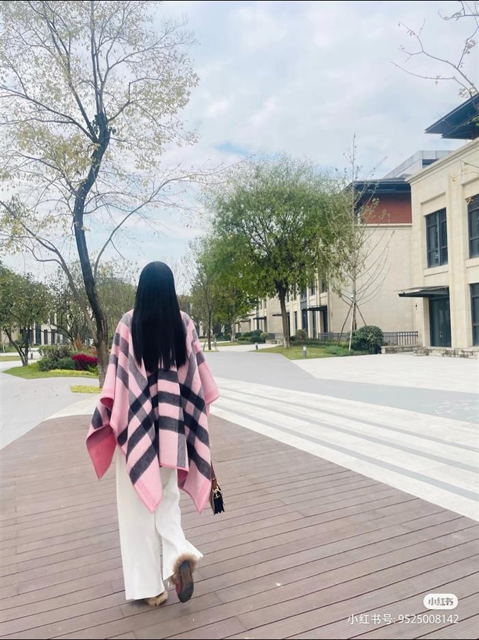 2026116111743706 100